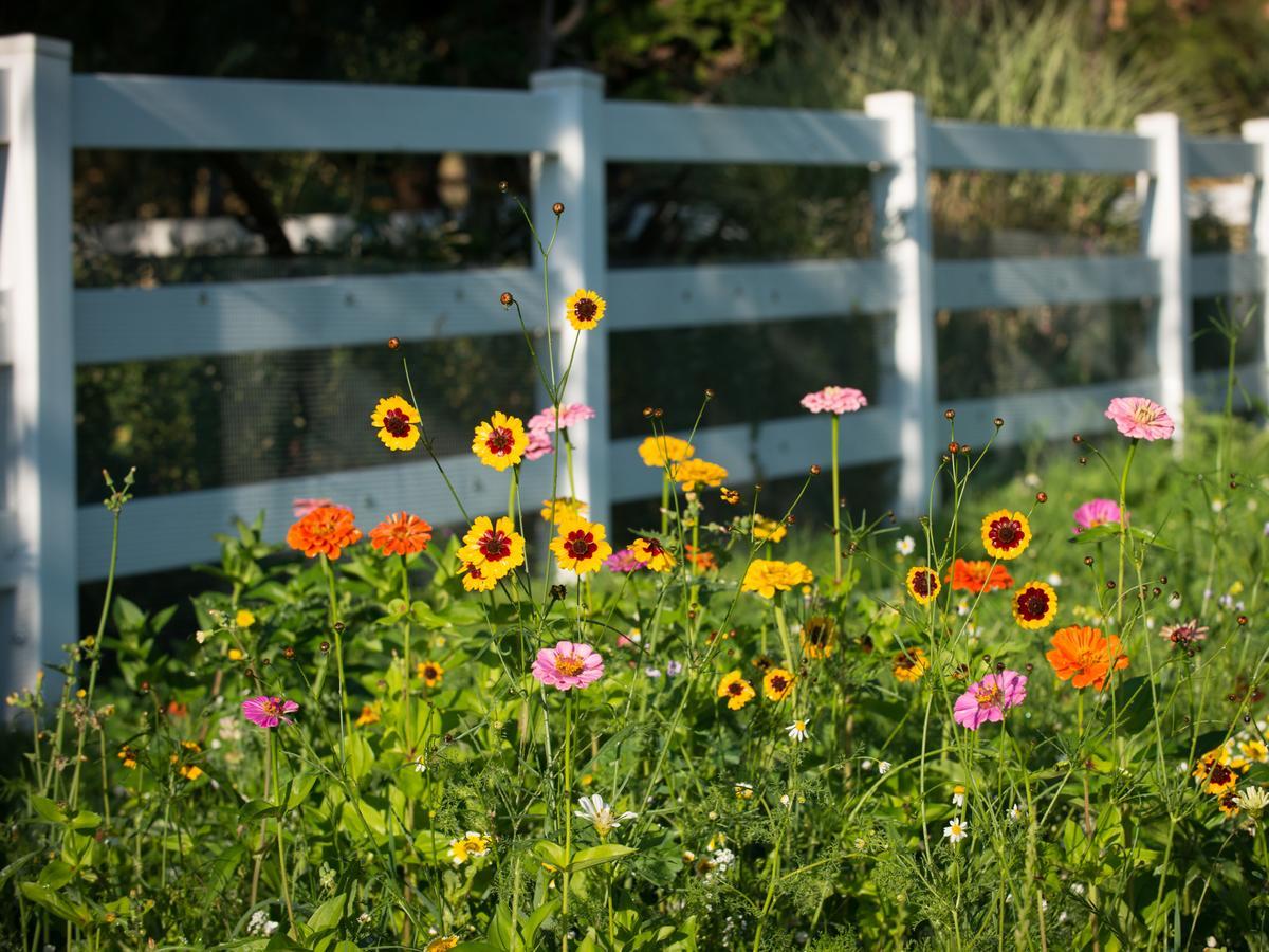 Country Willows (adults Only) Bed & Breakfast Ashland