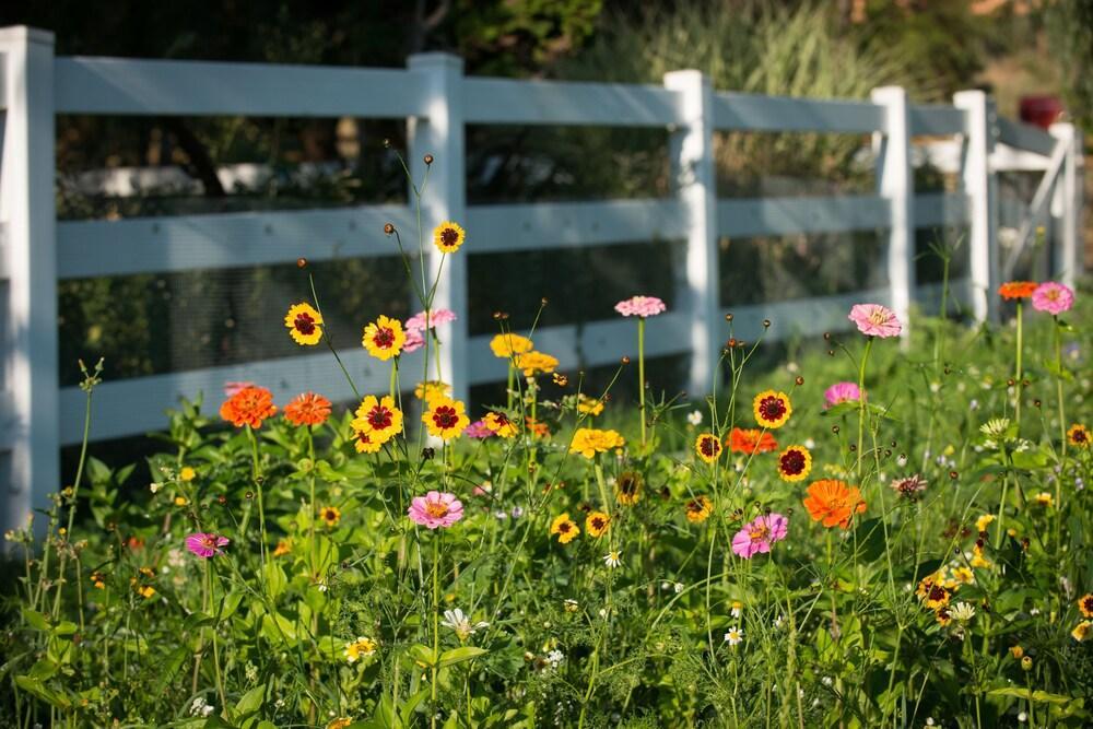 Country Willows (adults Only) Bed & Breakfast 4*